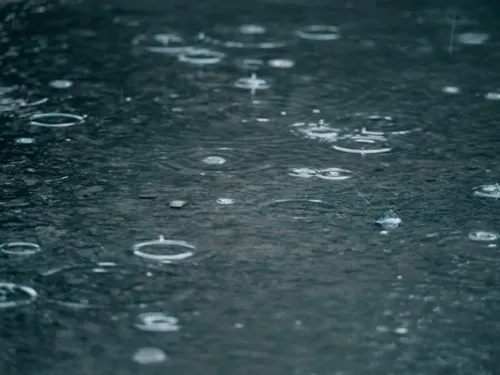 Rainwater Harvesting Cost: $100 to $15K. Save 50% Water Bill