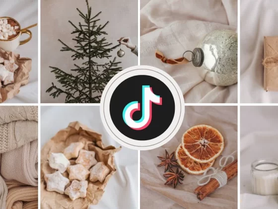 Top 11 TikTok Home Decor Finds: Worth the Hype?